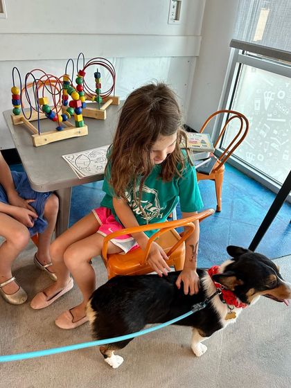 Tulsa Dog Trainer - Immersive Board & Train Programs Real-World Training & Socialization photo 10