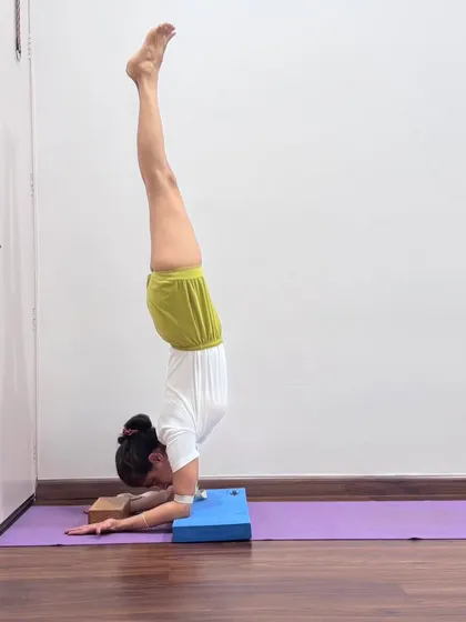 Another hand variation for Pincha Mayurasana, this time with the palms together. This changes the work in the shoulders and upper back, demonstrating how small adjustments can alter the entire feeling and effect of a pose.