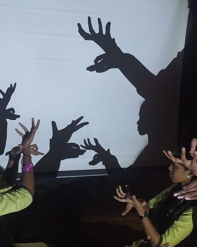 Shadow Puppetry