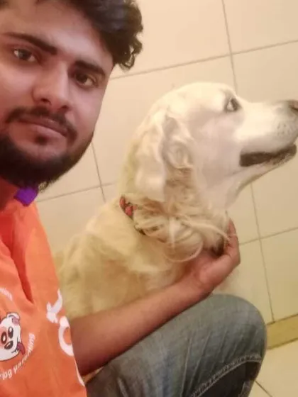 This is Friday, a beautiful Golden Retriever, posing with our groomer after his session. We love getting to know the dogs in our community and making sure they look and feel their best.