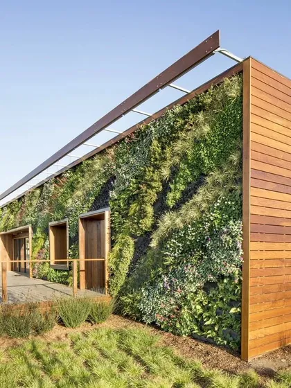 My services extend to large-scale commercial projects, like this building exterior. A vertical garden of this size makes a bold statement, improves the building's aesthetic, and contributes to a greener urban environment.