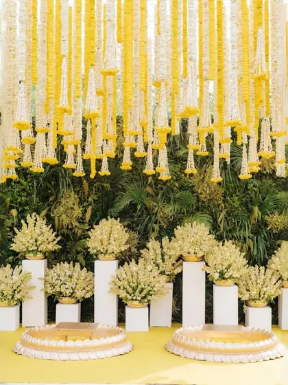 This is how I do a sophisticated Haldi or Pheras ceremony. The decor features a canopy of hanging white and yellow tuberoses (rajnigandha) and marigolds, with a clean, elegant seating area, showing that traditional can also be very classy.