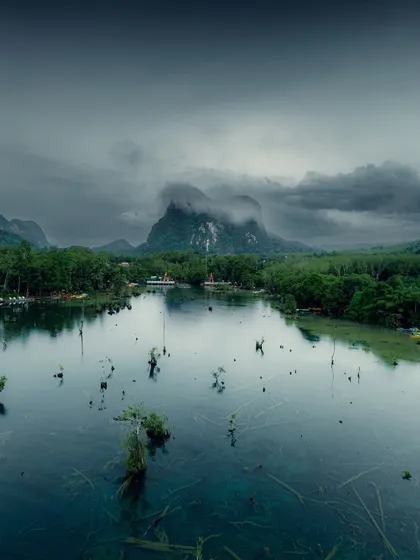 The serene, clear waters and submerged trees of a lagoon in Krabi, reflecting the cloudy sky above. A moment of pure peace.