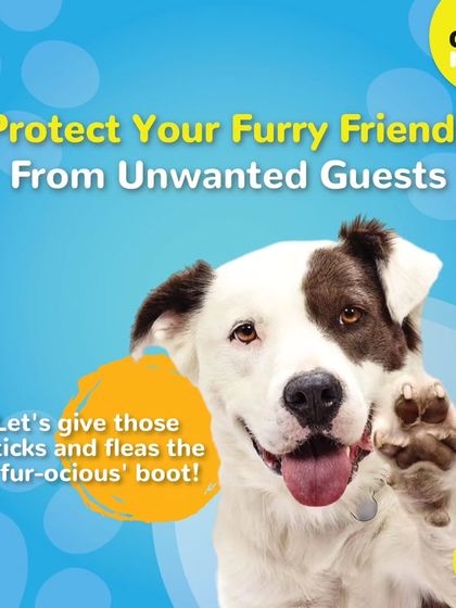 Protect your furry friends from unwanted guests. We offer treatments to give ticks and fleas the 'fur-ocious' boot.