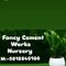 Fancy Cement Works Nursery