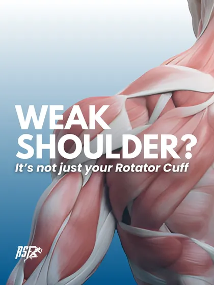 If you have a weak shoulder, the issue is often not just your rotator cuff. It's a systemic problem involving the entire shoulder girdle and its supporting structures.