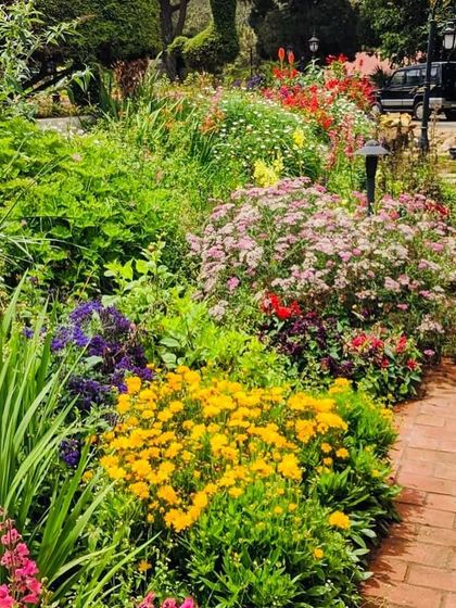 Ecoscapes Landscaping - Comprehensive Landscaping Services Commercial & Hospitality Landscapes photo 20