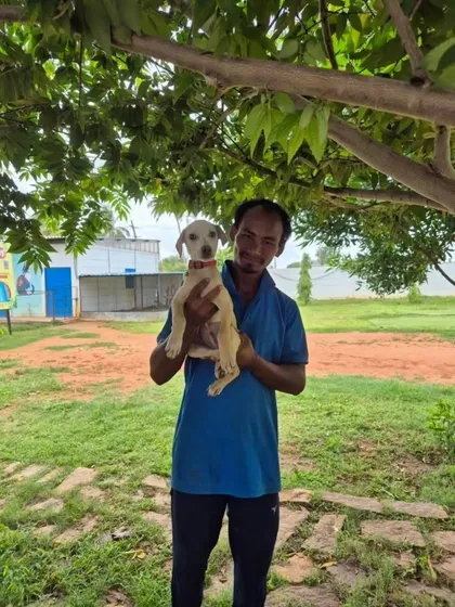 Coco being held by his rescuer. After 15 days of treatment, this little fighter is healthy and ready for a family.