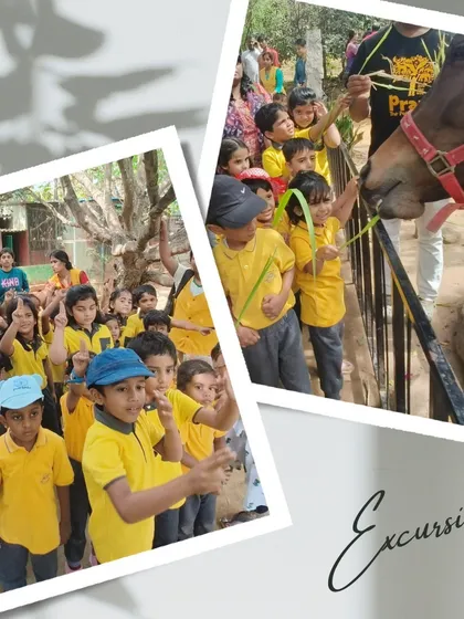 We believe in learning beyond the classroom walls. On our excursion to a local pet sanctuary, children get to connect with animals, learning about them in a gentle, hands-on environment.