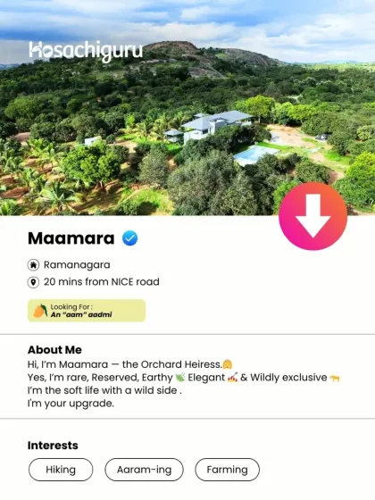 And here's Maamara, the Orchard Heiress. She's rare, reserved, and wildly exclusive. The soft life with a wild side. She's your upgrade.