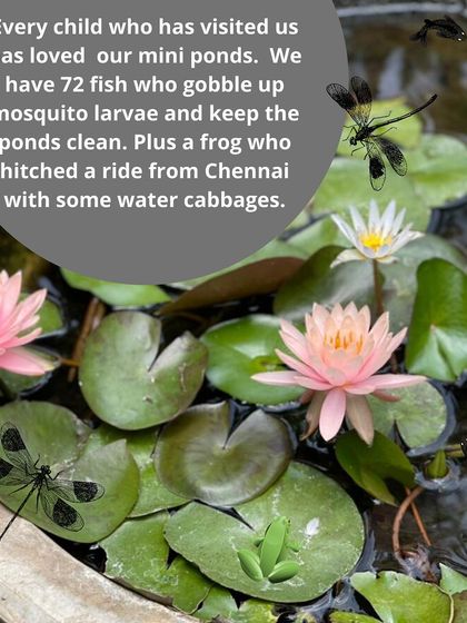 Earthlings Early Years - Preschool & Daycare Learning in Nature's Classroom photo 5