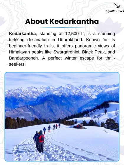A little about Kedarkantha: standing at 12,500 ft, it's a stunning, beginner-friendly winter trek in Uttarakhand with panoramic views of Himalayan peaks.