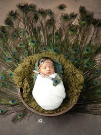 Baby & Toddler Photography