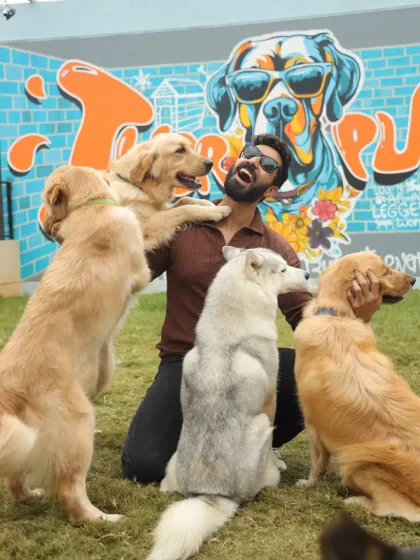 This is the vibe we live for. Pure, unfiltered joy with our squad of Goldens and Huskies. We've built a space where dog lovers can come and get their dose of puppy therapy, surrounded by happy, wagging tails.