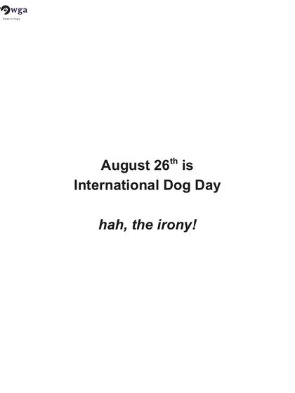 August 26th is International Dog Day. The irony is stark when you see the state of animal welfare in our country.