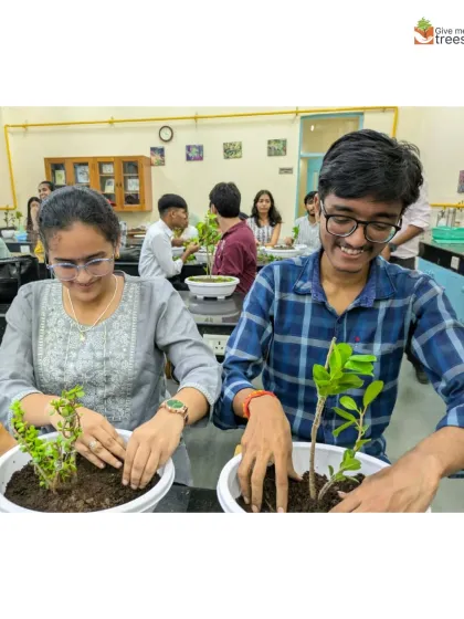 A pair of students from the Department of Botany work together on their bonsai plants. Collaborative learning makes the experience more engaging and fun.