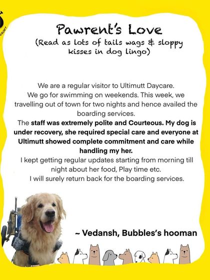 Bubbles was recovering and needed special attention, and we were honored to provide that care. We're committed to handling every dog with the love and patience they deserve.