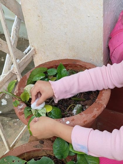 The Earth School - Montessori Primary & Elementary Program Purposeful Work & Practical Skills photo 10