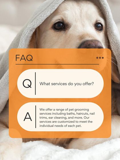 Petish Grooming - Mobile Grooming for Dogs & Cats Pet Care Tips & FAQs photo 12