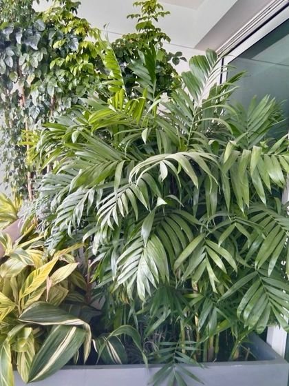 Whispering Gardens - Landscape & Garden Design Intimate Spaces: Balcony & Courtyard Havens photo 35