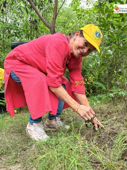 A Lions Club volunteer smiles as she works in the rain. Monsoon is the best time for planting, and the enthusiasm of our volunteers makes these rainy-day drives a huge success.