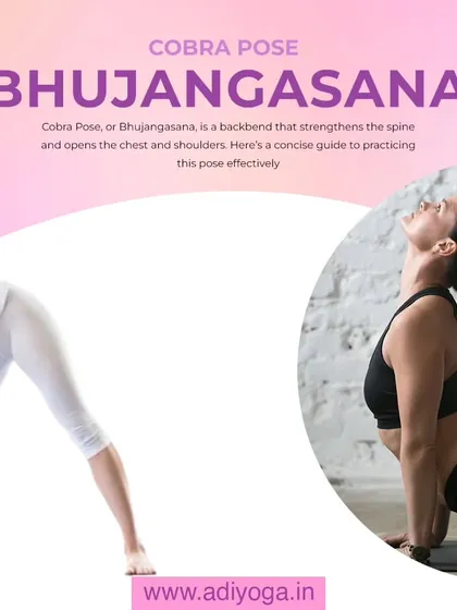 Bhujangasana, or Cobra Pose, is a foundational backbend that strengthens the spine and opens the chest and shoulders. It is a key pose for improving posture.