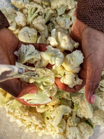 Handfuls of fresh cauliflower florets, cleaned and ready for our Gajar Gobhi Shalgam pickle. We only use the best quality vegetables for the perfect crunch.