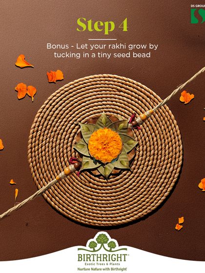 Bonus Step 4: For a gift that truly keeps on giving, tuck a tiny seed bead into your rakhi. After the festival, it can be planted to grow into a beautiful plant, symbolizing your growing bond.