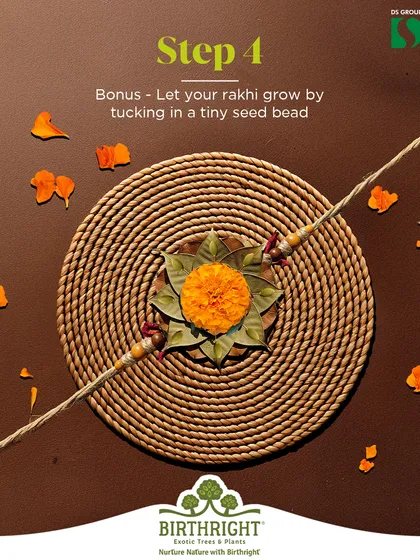 Bonus Step 4: For a gift that truly keeps on giving, tuck a tiny seed bead into your rakhi. After the festival, it can be planted to grow into a beautiful plant, symbolizing your growing bond.
