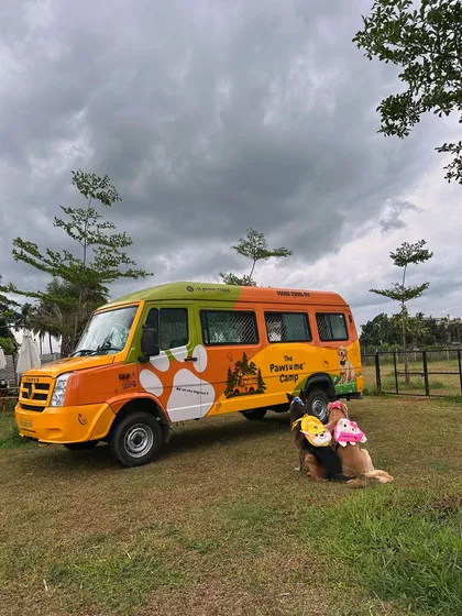 All aboard the Doggie School Bus! Our custom-built, safe transport makes getting to and from camp an adventure in itself. We offer convenient pick-up and drop-off services.