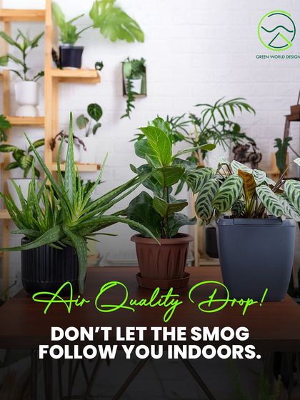 When outdoor air quality drops, it is crucial not to let the smog follow you indoors. A well-designed indoor plant system acts as a natural, biological filter to maintain a healthy interior environment.