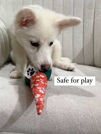 This image emphasizes that the toy is safe for play. Because it's made from 100% cotton with no plastic parts, you can feel good about your dog chewing on it.