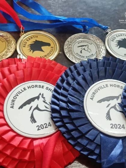 A close-up of the medals and ribbons won by our trainer Barath at the Auroville Horse Show. The rewards of dedication.