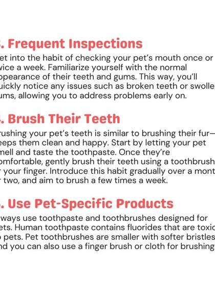 Woofly - Home Veterinary Services Essential Dental Health photo 8
