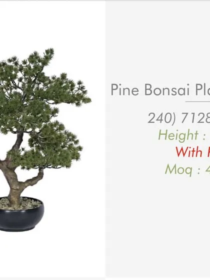 A 1.5 ft artificial Pine Bonsai, showcasing a classic shape that is popular for office and home decor.