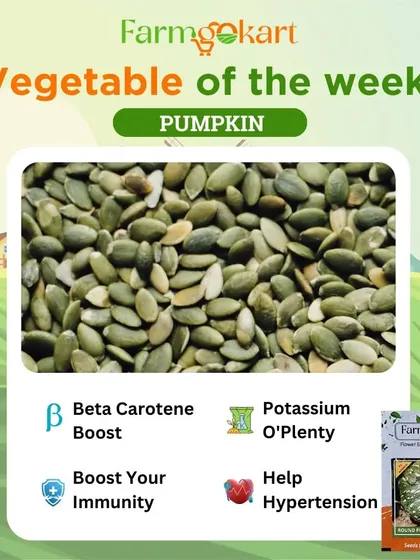 Pumpkin is a fantastic vegetable to grow, and its seeds are a nutritional powerhouse. They are full of potassium and beta carotene, which helps boost your immunity.