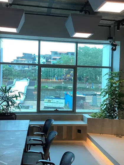 We placed plants strategically to take advantage of the natural light from these large windows, creating a healthier environment for both the plants and the employees.