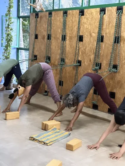 Yogavijnana - Yoga Classes & Therapy Yoga with Props: Deepen Your Practice photo 8