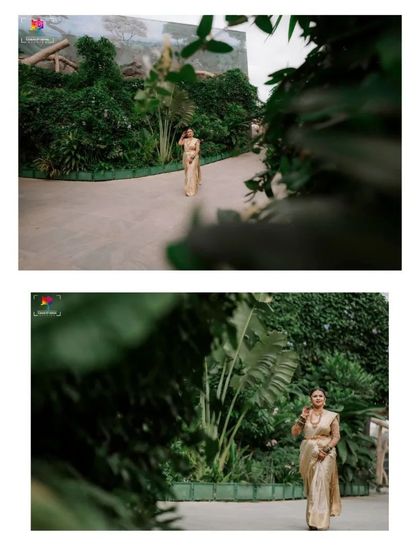 A collage of the bride walking through a lush green pathway at a resort. These shots capture her in her element, looking serene and beautiful in her golden saree.