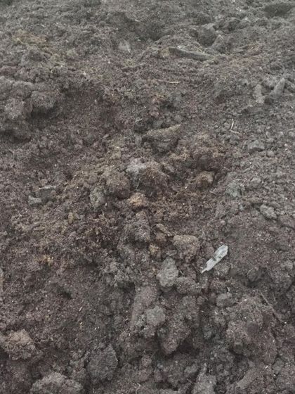 A close-up of our finished compost, made from a mix of poultry, horse, and cow manure and bedding. This nutrient-dense organic matter is great for top dressing gardens.