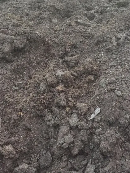 A close-up of our finished compost, made from a mix of poultry, horse, and cow manure and bedding. This nutrient-dense organic matter is great for top dressing gardens.