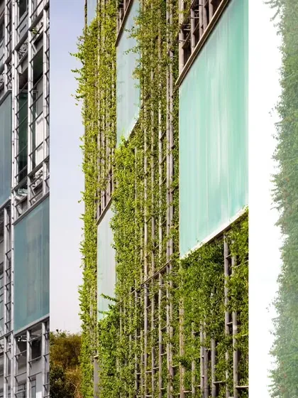 A detailed look at the custom-cast aluminum trellis system at KMC Headquarters, showing the structure before, during, and after the growth of the green facade. This illustrates the fusion of handcrafted metalwork and hydroponic technology.