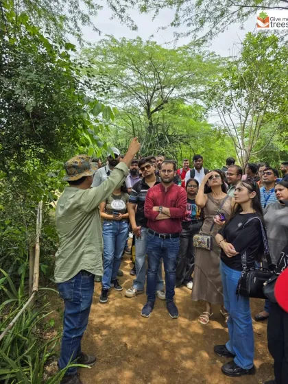 A walk with us is a conversation. Here, I am showing a group from KPMG the small details you might otherwise miss. We look at leaf patterns, check for insects, and talk about how everything in the forest is connected. It is not a lecture, it is a shared discovery.