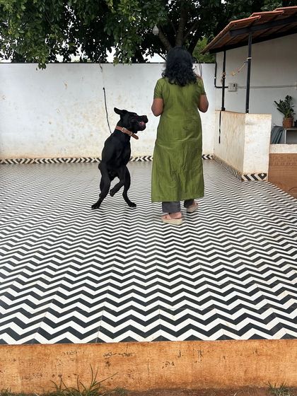 Star Pups - Pet Boarding & Daycare Our Happy Guests & Many Breeds photo 18