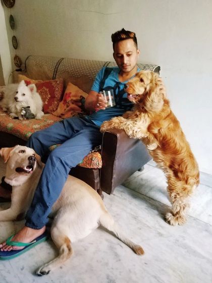The best therapists have fur and four legs. Here I am relaxing on the sofa surrounded by a Cocker Spaniel, a Labrador, and a Spitz.