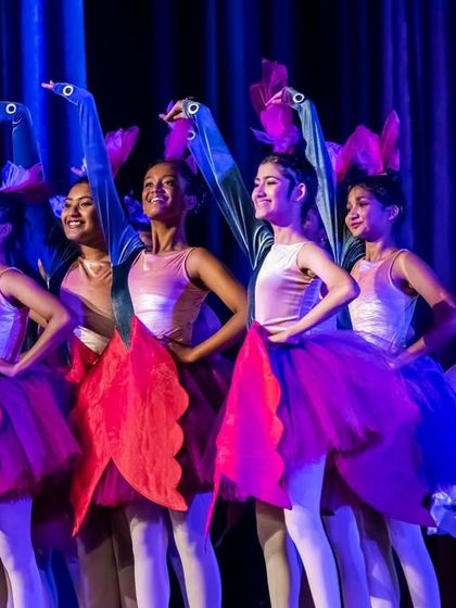 Lewis Foundation of Classical Ballet - Event Performances & Productions Full-Scale Ballet Productions photo 7