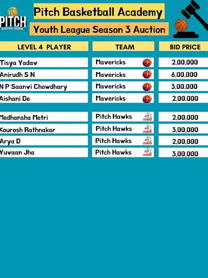 Pitch Basketball - Youth Basketball Leagues Meet the Teams: The Draft & Rosters photo 7