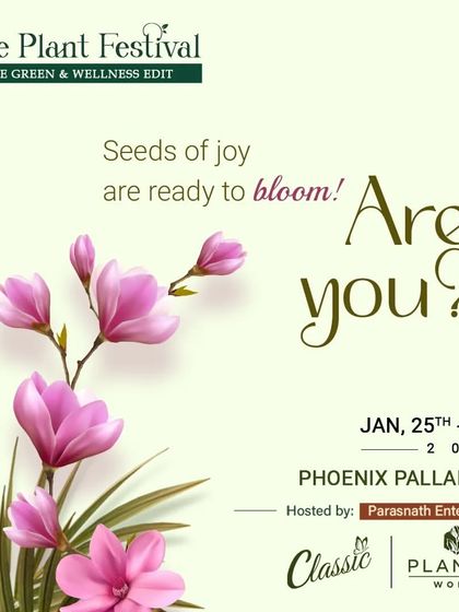 Our Journey and Recognition photo 7