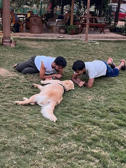 Poochkoo Mutts & Nutts - Dog Boarding & Daycare A Day at the Ranch: Daycare & Play photo 3