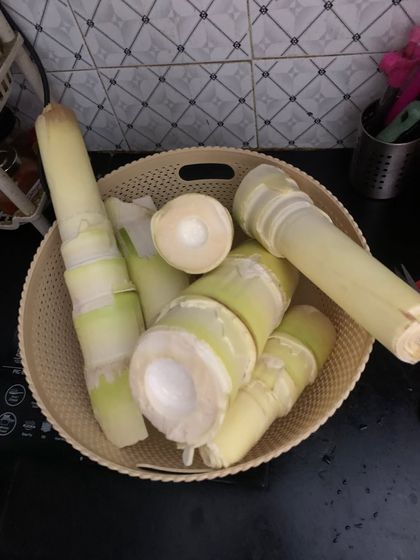 These are the fresh bamboo shoots I use for my stir-fries and curries.